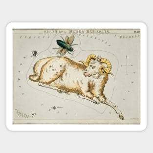 Aries Constellation Magnet